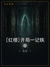 [红楼]开局一记铁拳