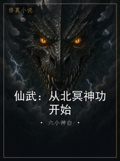 仙武:从北冥神功开始