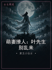萌妻撩人：叶先生别乱来