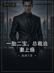 一胎二宝，总裁追妻上瘾