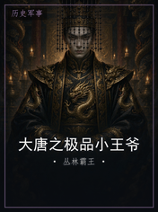大唐之极品小王爷