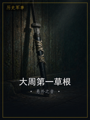 大周第一草根