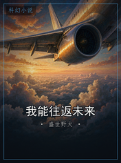 我能往返未来