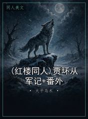 (红楼同人)贾环从军记+番外