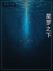 星罗之下