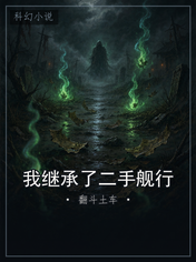 我继承了二手舰行