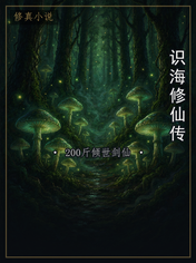 识海修仙传