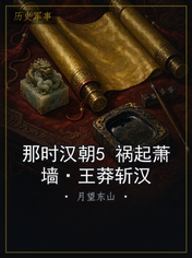 那时汉朝5 祸起萧墙·王莽斩汉