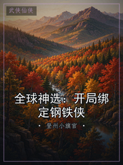 全球神选：开局绑定钢铁侠