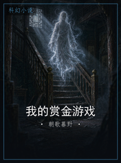 我的赏金游戏
