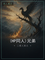(HP同人)兄弟