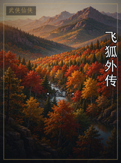 飞狐外传