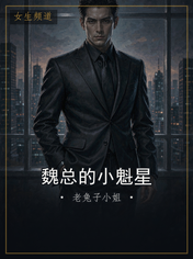 魏总的小魁星