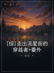 [综]走出流星街的穿越者+番外