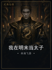 我在明末当太子