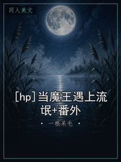 [hp]当魔王遇上流氓+番外
