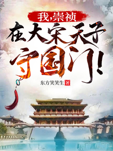 我，崇祯，在大宋天子守国门！（崇祯穿宋：天子守国门，大宋不怂、烈宋）