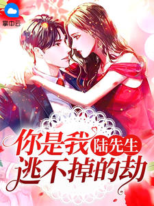 陆先生,你是我逃不掉的劫