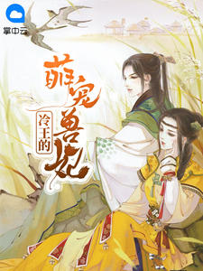冷王的萌宠兽妃