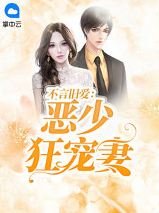 不言旧爱：恶少狂宠妻
