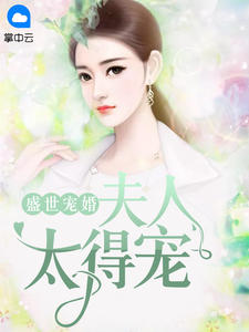 盛世宠婚:夫人太得宠