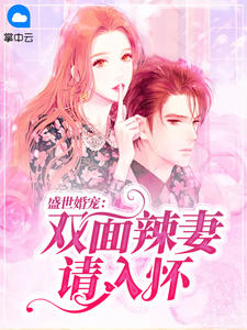 盛世婚宠：双面辣妻请入怀