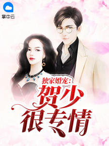 独家婚宠:贺少很专情