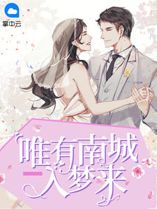 唯有南城入梦来