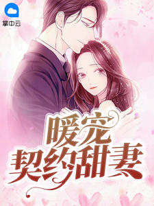 暖宠契约甜妻