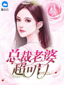 总裁老婆超可口