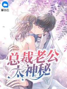 总裁老公太神秘